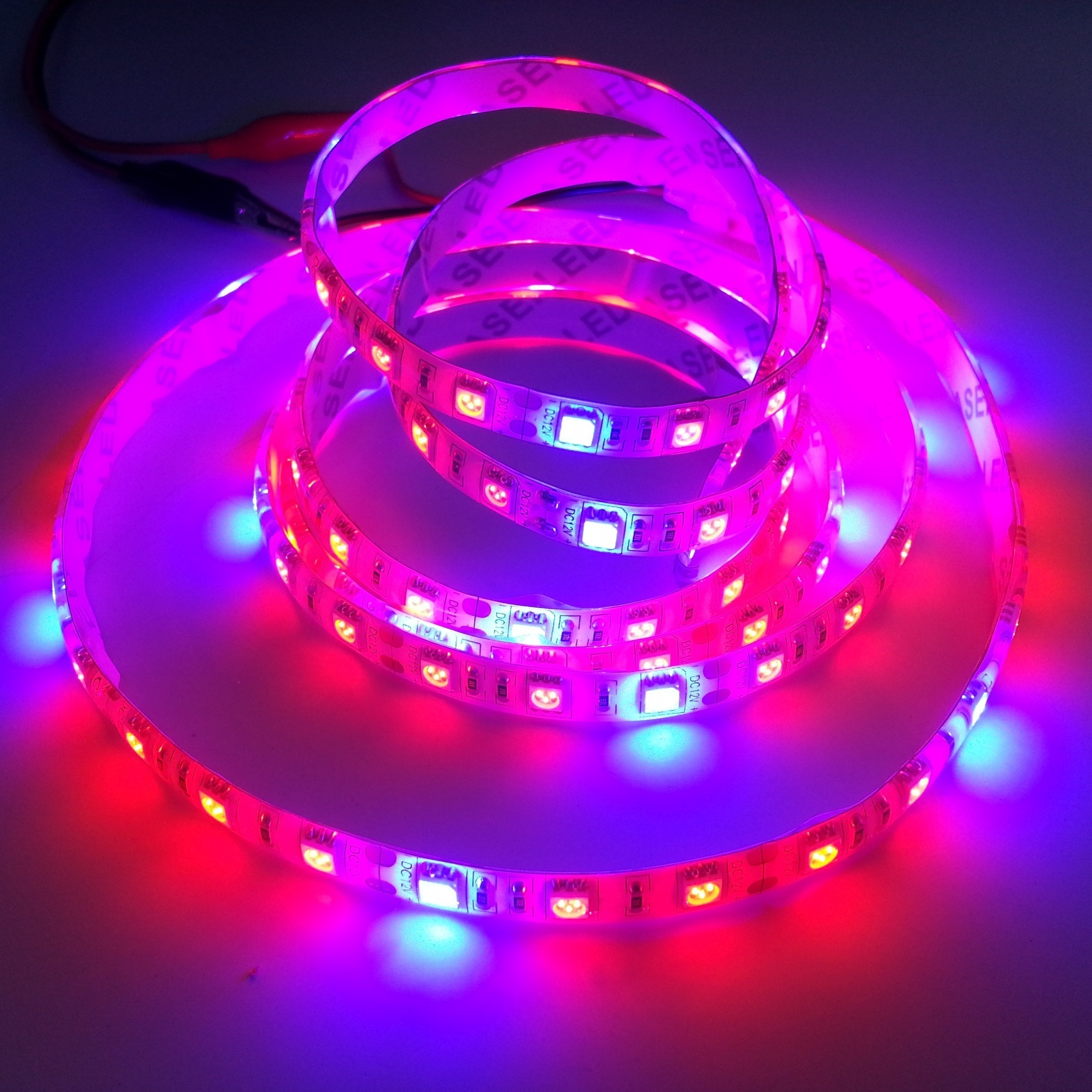 Red/Blue 4:1 5050 Plant Growing LED Strip Light Hydroponic 12V 5M