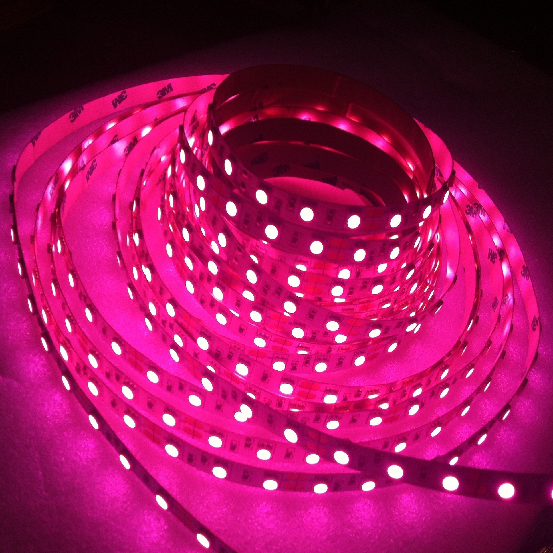 SMD 5050 Pink Flexible Strip Light 5M 300 Leds Non-Waterproof