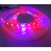 Red/Blue 4:1 5050 Plant Growing LED Strip Light Hydroponic 12V 1M