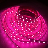 SMD 5050 Pink Flexible Strip Light 5M 300 Leds Non-Waterproof